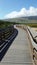 Boardwalk along nature preserve