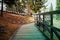 Boardwalk in Alpine woods