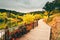 Boardwalk around the pond at Mount Lofty, South Australia