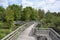 Boardwalk at Audubon Corkscrew Swamp