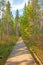 Boardwalk into the Boreal Forest