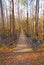 Boardwalk into a Bottomland Forest