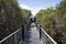 Boardwalk bridge to Lake Muir Lookout in Western Australia