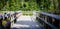 Boardwalk in Cleveland Metroparks in Ohio