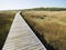 Boardwalk at coastal marsh.