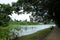 Boardwalk connecting nature trail at MacRitchie Reservoir Park, Singapore