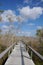 Boardwalk in cypress grove, Everglades N\'tl Pk