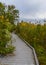 Boardwalk on the Delaware Bay in Bombay Hook