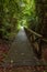 Boardwalk in dense rainforest Borneo Malaysia