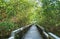 Boardwalk at Ding Darling Nature Preserve