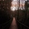 Boardwalk @ dusk