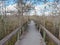 Boardwalk in Dwarf Cypress Forest of Everglades National Park.