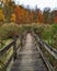 A Boardwalk Entrance to the Swamp