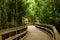 A Boardwalk Through A Florida Nature Preserve.