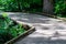 boardwalk through a forest