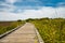 Boardwalk Through the Fragile Area at Morro Bay State Park, California