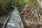 Boardwalk Through Frances Bay Bird Santuary on Saint John, USVI