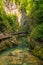 Boardwalk Gorge in Slovenia