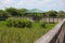 Boardwalk Green Cay Wetlands