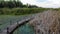 Boardwalk at Jegricka Swamp and Nature Park in Summer time, Vojvodina, Serbia, Europe.