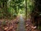 Boardwalk through the jungle in Bako National Park, Borneo, Malaysia