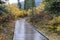 Boardwalk, Kathleen Lake, Kluane National Park and Reserve