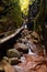 A Boardwalk Leads Hikers into the Flume Gorge, New Hampshire