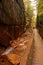 A boardwalk linto the Flume Gorge in Franconia State Park, New Hampshire