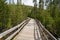 Boardwalk through lodgepole pines to the Frying Pan Hot Springs in Yellowstone National Park