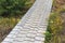 Boardwalk Made From Timber Planks On Grass