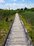 Boardwalk Through Marsh, Cape May Lighthouse, New Jersey