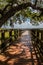 Boardwalk through the marsh at Crews Lake Park