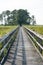 Boardwalk through marsh reeds near Rock Hall, MD