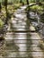 Boardwalk with missing wooden slats