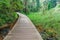 Boardwalk in National Kandawgyi Botanical gardens in Pyin Oo Lwin, Myanm