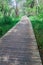 Boardwalk in National Kandawgyi Botanical gardens in Pyin Oo Lwin, Myanm