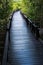 Boardwalk for nature trail in mangrove forest