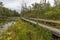 Boardwalk Next to a Slow Meandering River