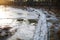 Boardwalk over frozen water in a bog at sunset