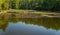 Boardwalk over a Swampy Area