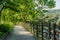 Boardwalk overlooking river