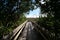 Boardwalk at Pa Hay Okee in Everglades National Park, Florida.