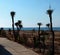 Boardwalk With Palm Trees On Ilha Deserta Portugal