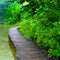 Boardwalk in the park