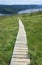 Boardwalk on Partridgeberry Hill