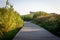 Boardwalk Path Amidst Vegetation