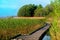 Boardwalk path in swamp