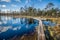 Boardwalk path through wetlands area in early spring.