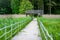 Boardwalk path through wetlands area with wooden viewing tower.