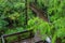 Boardwalk in the rain